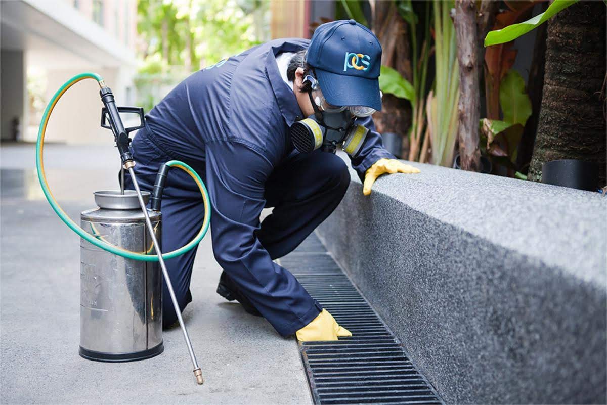 Veterans Pest Control: Service Image-2 Veterans Pest Control: Service Image-2